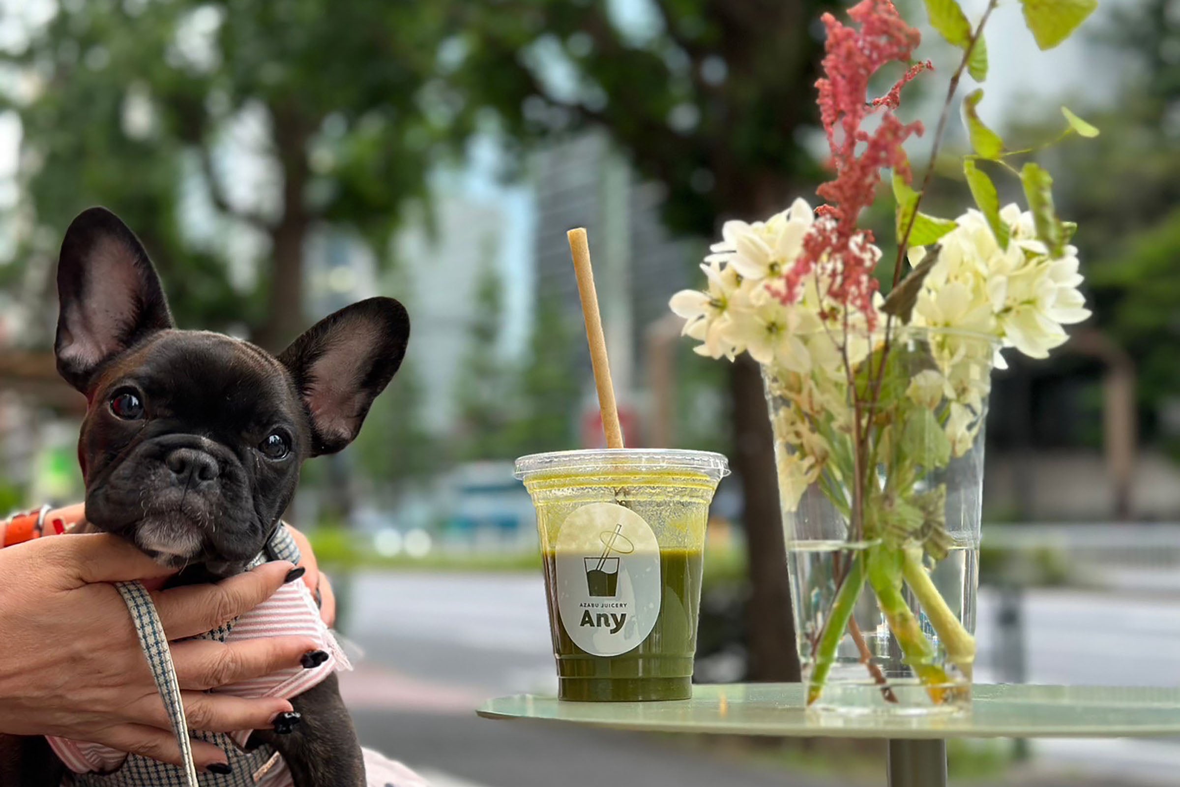 Azabu Juicery Any （アザブジューサリーエニー）| フレッシュジュース